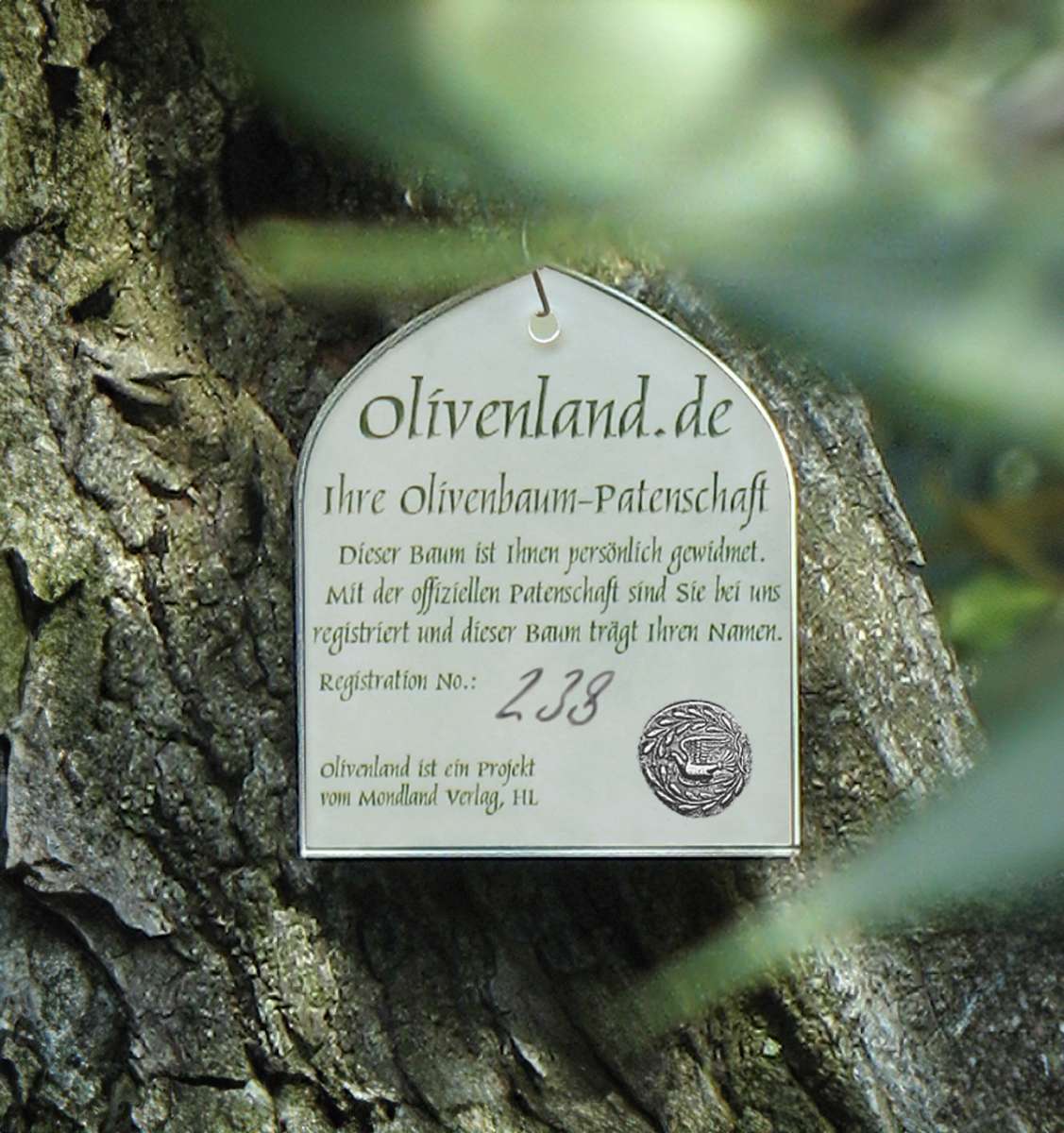 Olivenbaum Patenschaft mit bestem Olivenl aus Griechenland vom eigenen  Baum | Olivenland