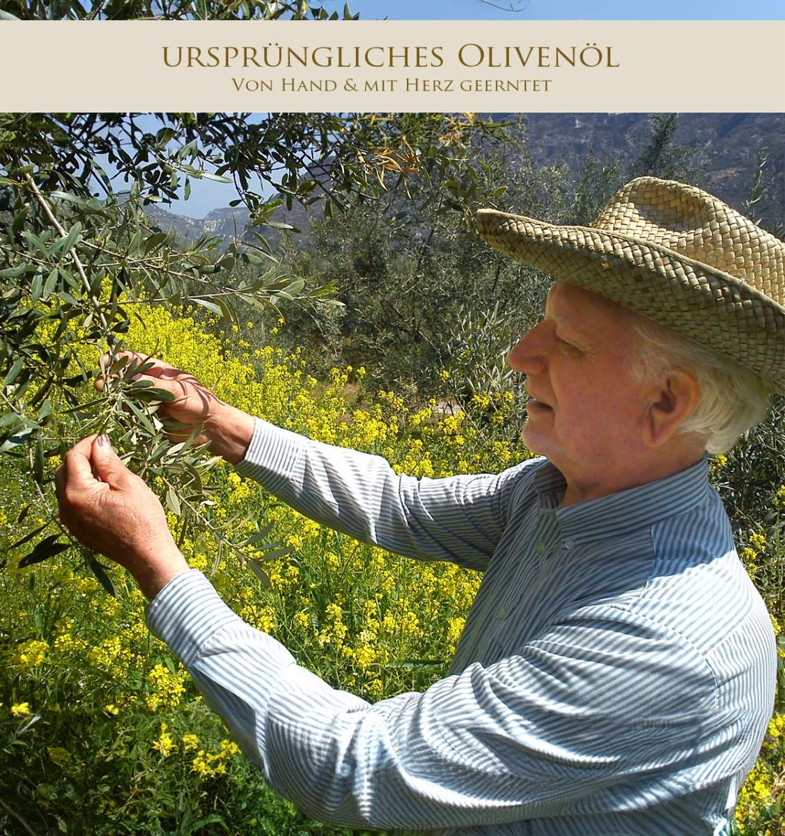 Einen Olivenbaum und kstliches Olivenl zum Geschenk machen | Olivenland